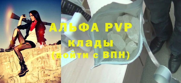 стаф Алексин