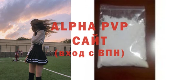 стаф Алексин