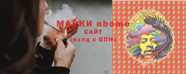 стаф Алексин